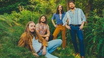 The Sheepdogs