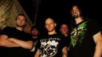 Allegaeon