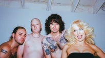 Amyl and the Sniffers
