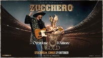 Zucchero