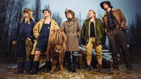 Steve 'n' Seagulls