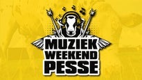 Muziekweekend Pesse